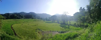 Wattegama - Photo 2