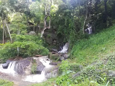 Wattegama - Photo 4