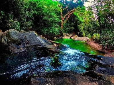 Wattegama - Photo 5