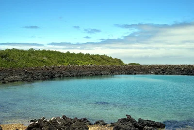 Isabela - Photo 5