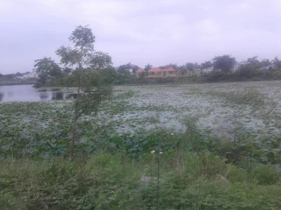 Yadgir - Photo 2