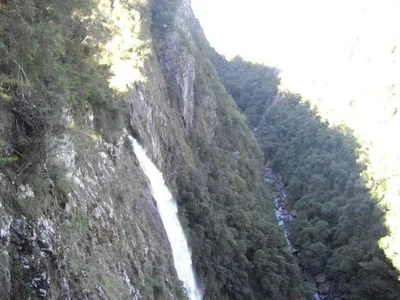Elands - Photo 2