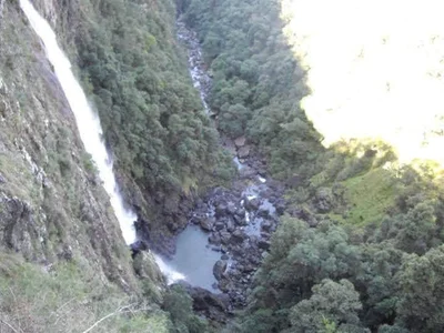 Elands - Photo 3