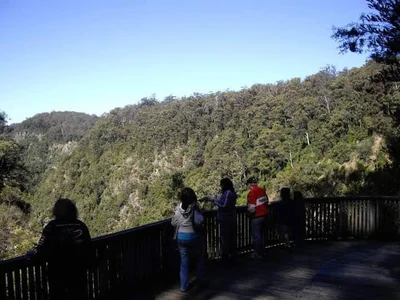 Elands - Photo 4