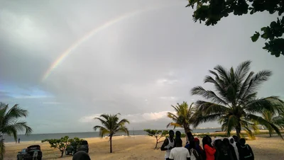 Bakau - Photo 3