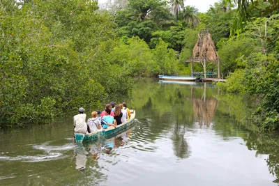 Bakau - Photo 4