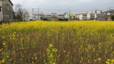 Higashiyamato - Photo 3