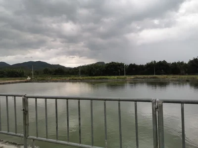 Enping - Photo 5