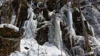 Towada - Photo 3