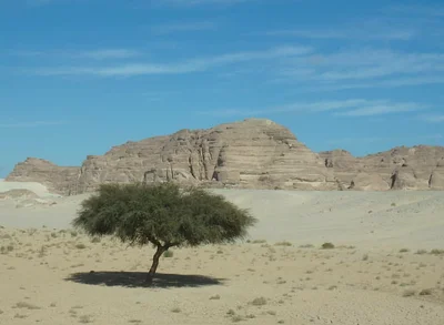 South Sinai - Photo 4