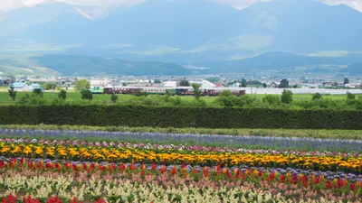 Furano - Photo 3