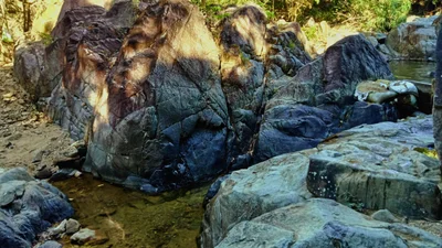 Bustos - Photo 2