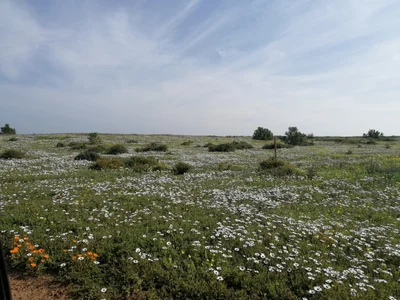 Cape Winelands District Municipality - Photo 2