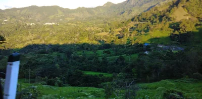 Muzo - Photo 5