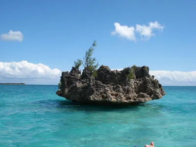 La Gaulette - Photo 5