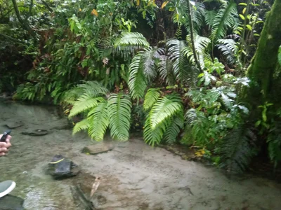 Lake Tarawera - Photo 2