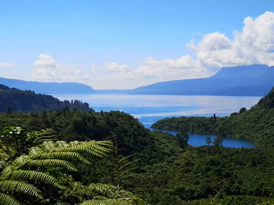 Lake Tarawera - Photo 5