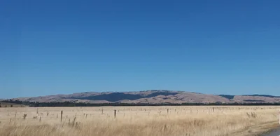 Waipara - Photo 3