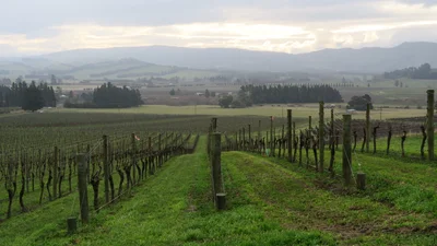 Waipara - Photo 5