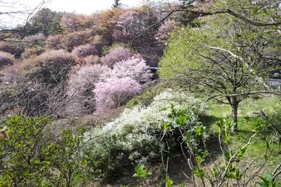 Hitachiomiya - Photo 2