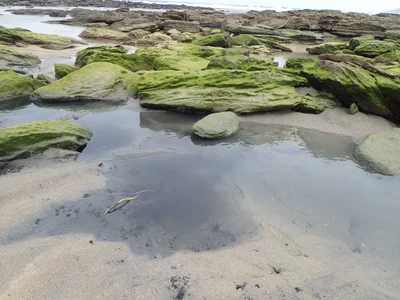 Toowoon Bay - Photo 3