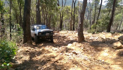 Toolangi - Photo 2