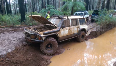 Toolangi - Photo 3
