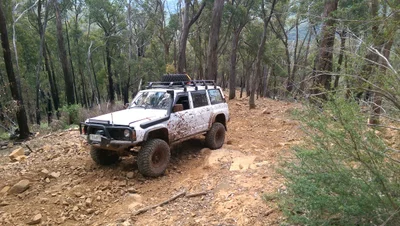 Toolangi - Photo 4