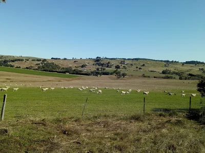 Tooborac - Photo 2