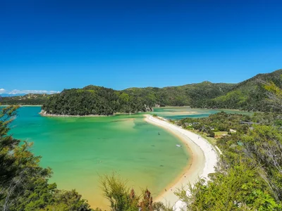 Abel Tasman National Park - Photo 5