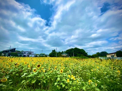 Okegawa - Photo 2