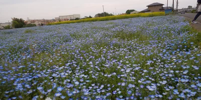 Okegawa - Photo 3