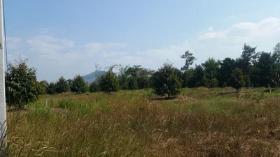 Makham - Photo 4