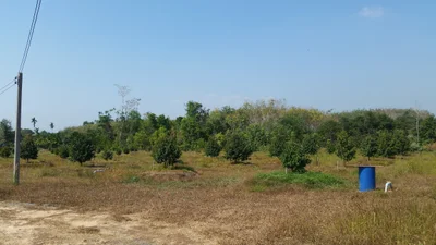 Makham - Photo 5