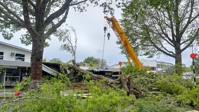 Tokoroa - Photo 2