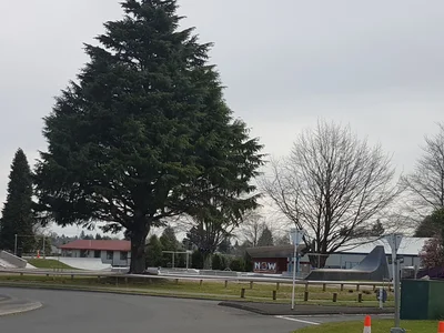 Tokoroa - Photo 3
