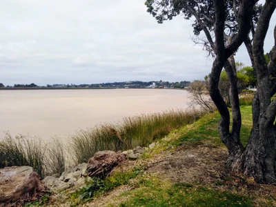 Dargaville - Photo 3