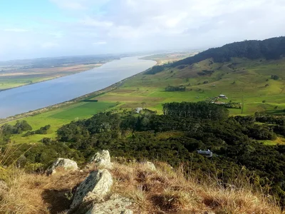 Dargaville - Photo 5