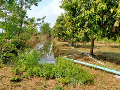 Nong Bua Daeng - Photo 2