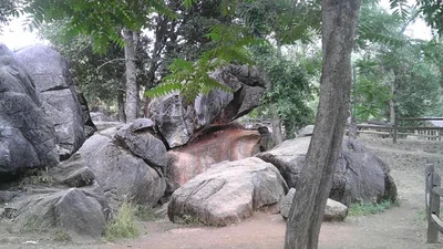 Columbia - Photo 4