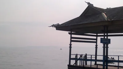 Penajam - Photo 4
