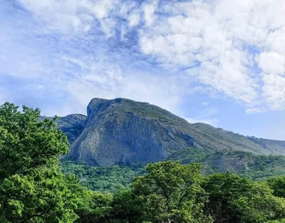 Anaimalai - Photo 2