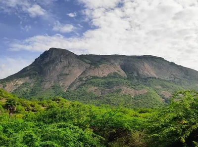 Anaimalai - Photo 3