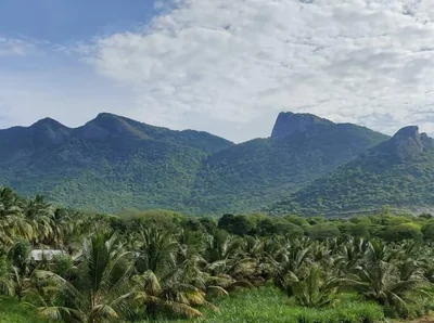 Anaimalai - Photo 4