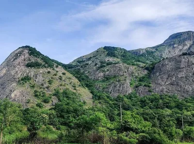 Anaimalai - Photo 5