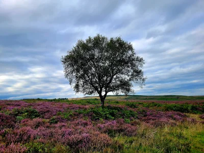 Peak District National Park - Photo 3