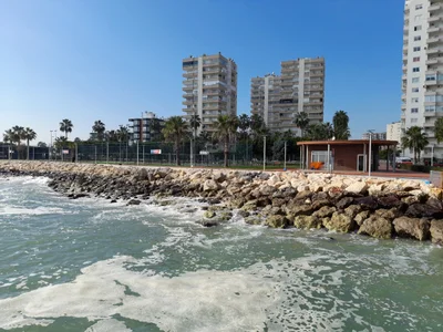 Mersin (Icel) - Photo 2