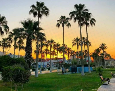 Mersin (Icel) - Photo 3