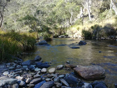 Hotham Heights - Photo 3