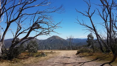Hotham Heights - Photo 5